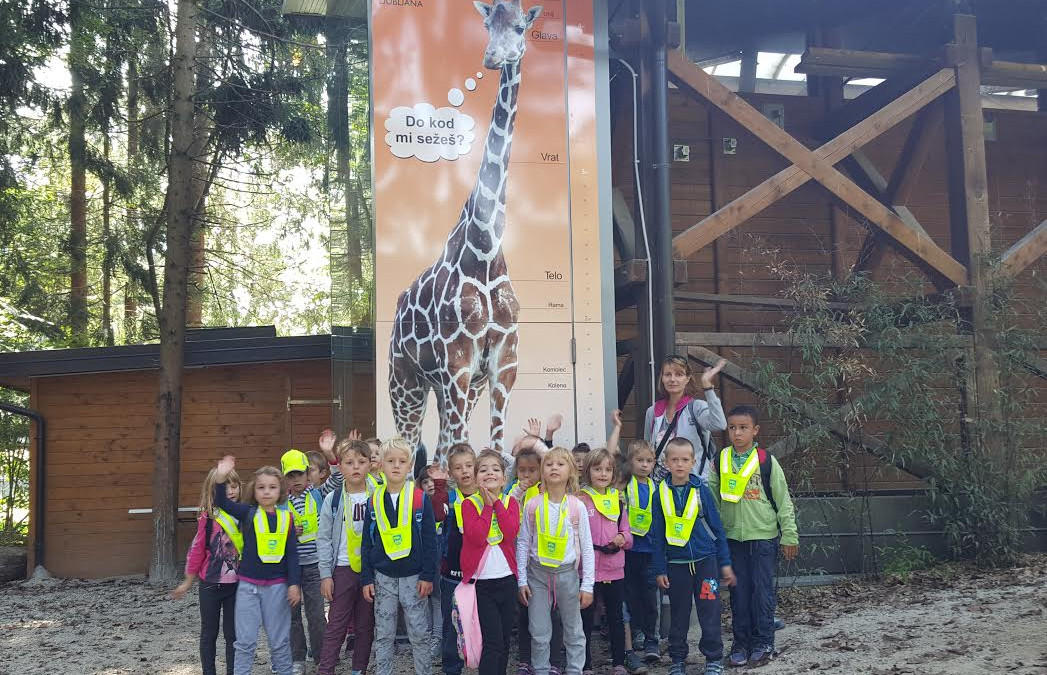 Naravoslovni dan ZOO Ljubljana