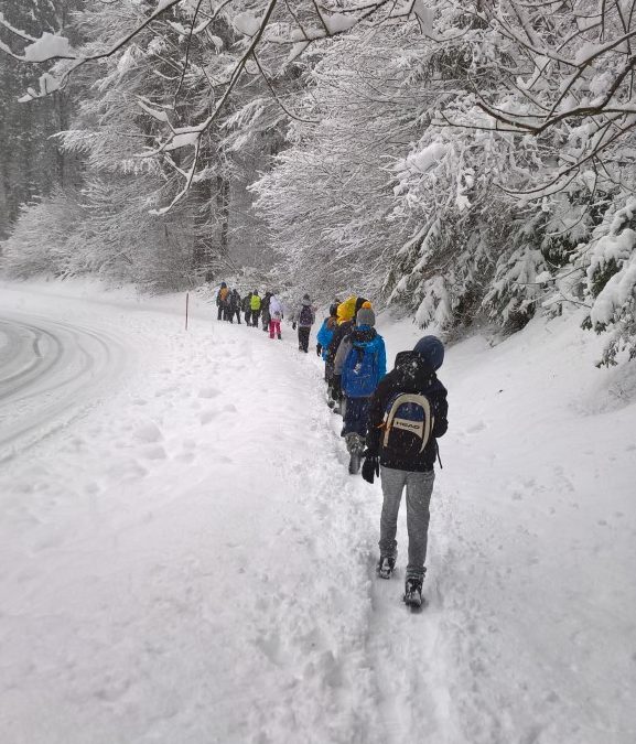 CŠOD Bohinj 2. dan