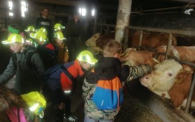 Ekošola: obisk kmetije