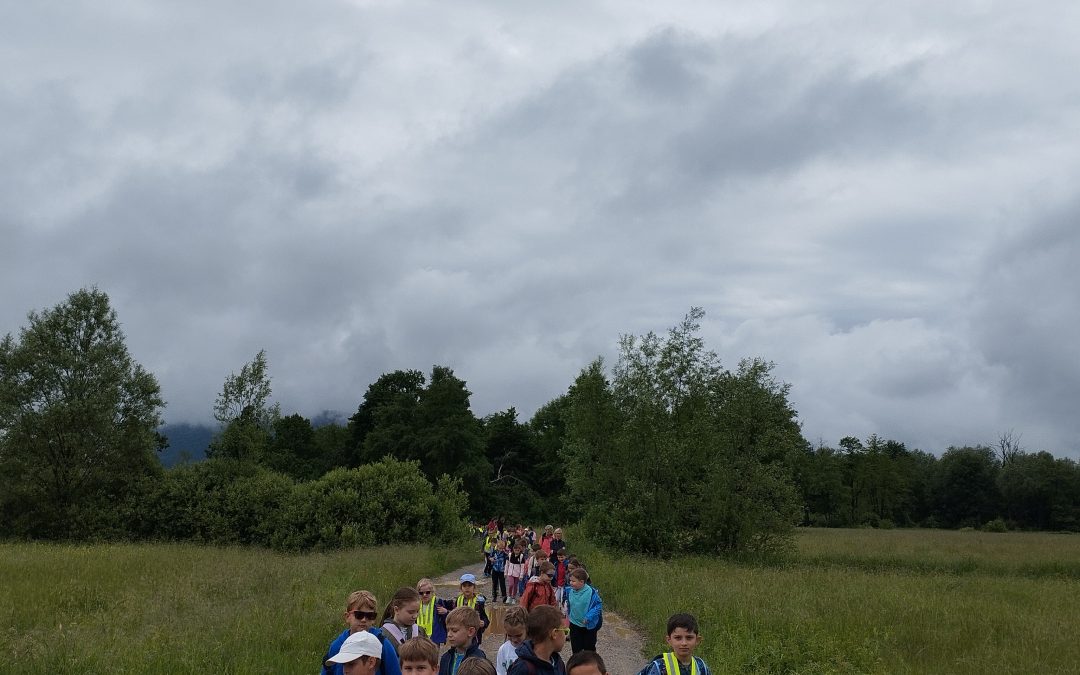 ŠPORTNI DAN – Pohod v okolico Vrhnike
