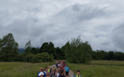ŠPORTNI DAN – Pohod v okolico Vrhnike
