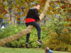 sam_3587